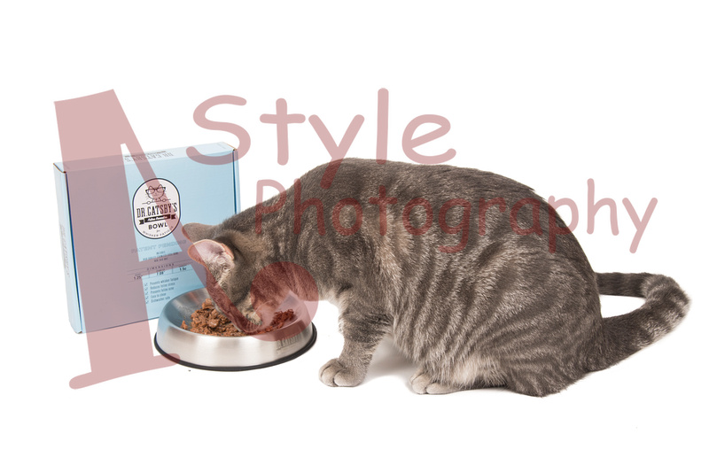 Dr catsby's sales whisker relief bowl